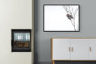 Pearl-Spotted Owlet-Wall_Art-100 x 75cm-Mounted Canvas-Black-Pixalot