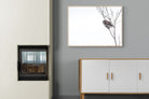 Pearl-Spotted Owlet-Wall_Art-100 x 75cm-Mounted Canvas-Wood-Pixalot