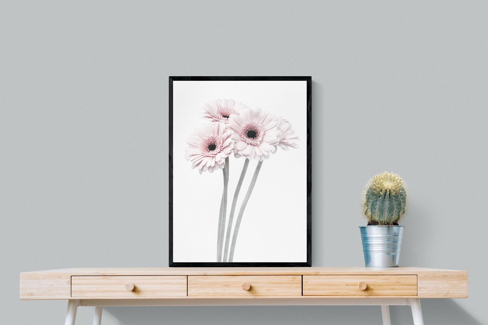 Perfect Pink Flowers-Wall_Art-60 x 80cm-Mounted Canvas-Black-Pixalot