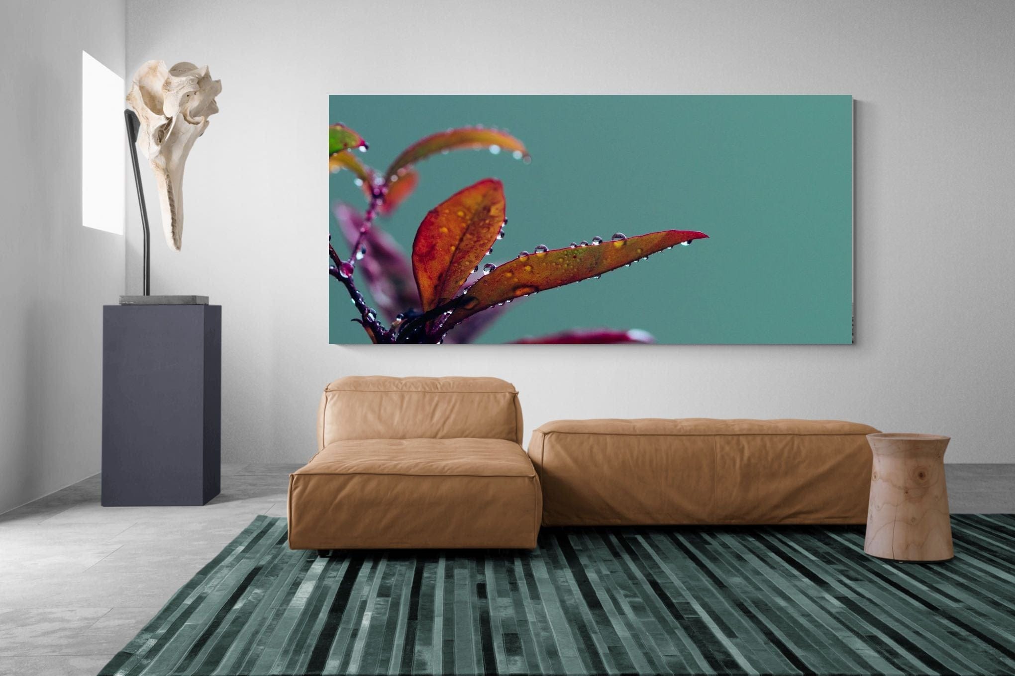 Petal Droplets-Wall_Art-Pixalot