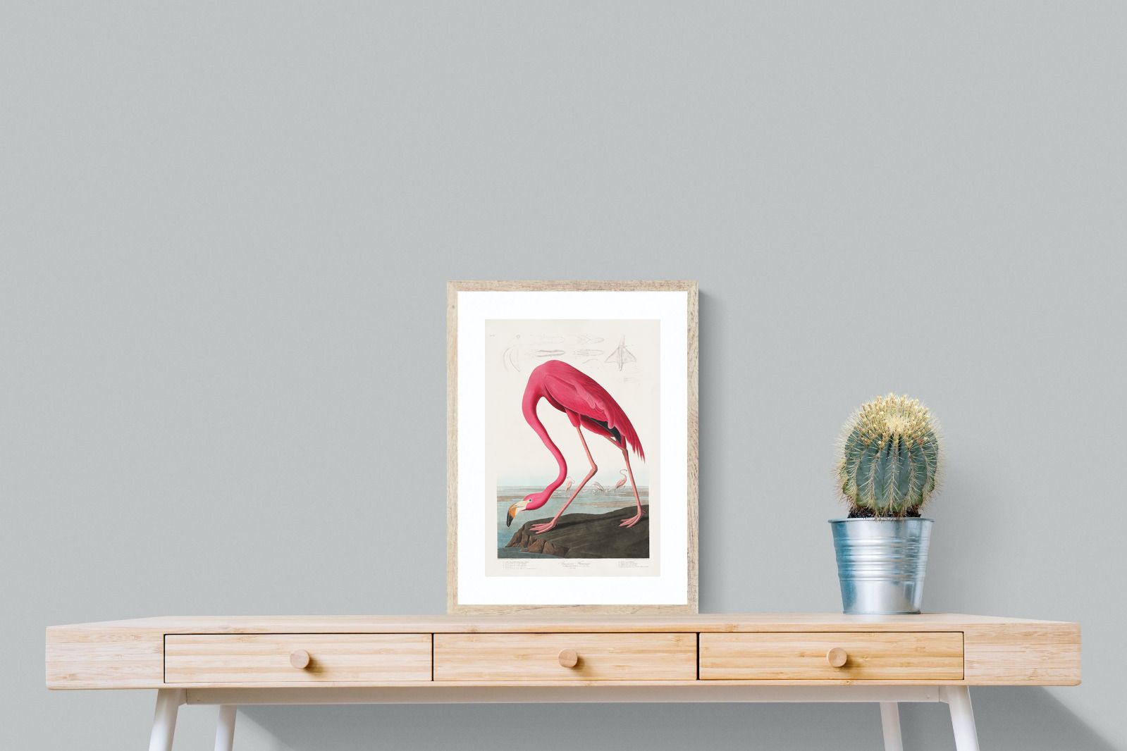 Pixalot Pink Flamingo (Birds of America 1827)