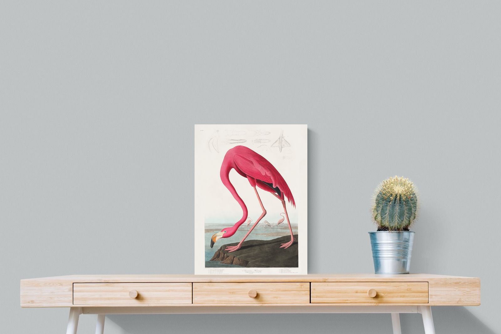 Pixalot Pink Flamingo (Birds of America 1827)