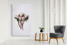 Pixalot Pink King Protea Bunch