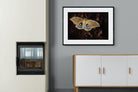 Polyphemus-Wall_Art-100 x 75cm-Framed Print-Black-Pixalot