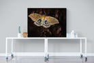 Polyphemus-Wall_Art-120 x 90cm-Mounted Canvas-Black-Pixalot