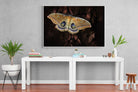 Polyphemus-Wall_Art-150 x 100cm-Mounted Canvas-White-Pixalot