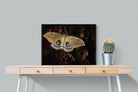 Polyphemus-Wall_Art-80 x 60cm-Mounted Canvas-Black-Pixalot