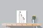 Poppy Pods-Wall_Art-45 x 60cm-Mounted Canvas-No Frame-Pixalot