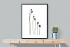 Poppy Pods-Wall_Art-75 x 100cm-Framed Print-Black-Pixalot