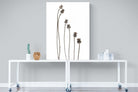 Poppy Pods-Wall_Art-90 x 120cm-Mounted Canvas-No Frame-Pixalot