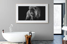 Prince of the Jungle-Wall_Art-180 x 110cm-Framed Print-Wood-Pixalot
