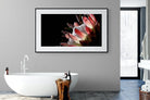 Protea-Wall_Art-180 x 110cm-Framed Print-Black-Pixalot