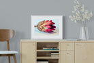 Protea Still Life-Wall_Art-Pixalot