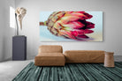 Pixalot Protea Still Life