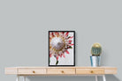Pixalot Red King Protea