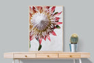Pixalot Red King Protea