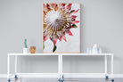 Pixalot Red King Protea