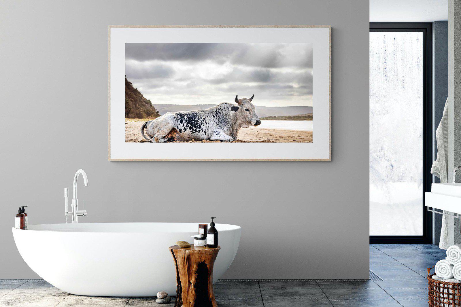 Resting Bull-Wall_Art-180 x 110cm-Framed Print-Wood-Pixalot