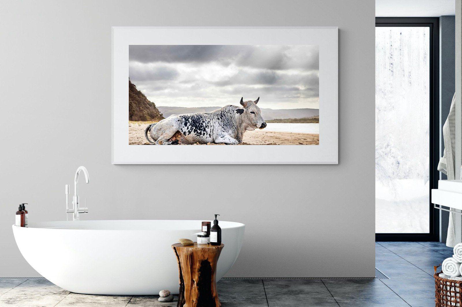 Resting Bull-Wall_Art-180 x 110cm-Framed Print-White-Pixalot