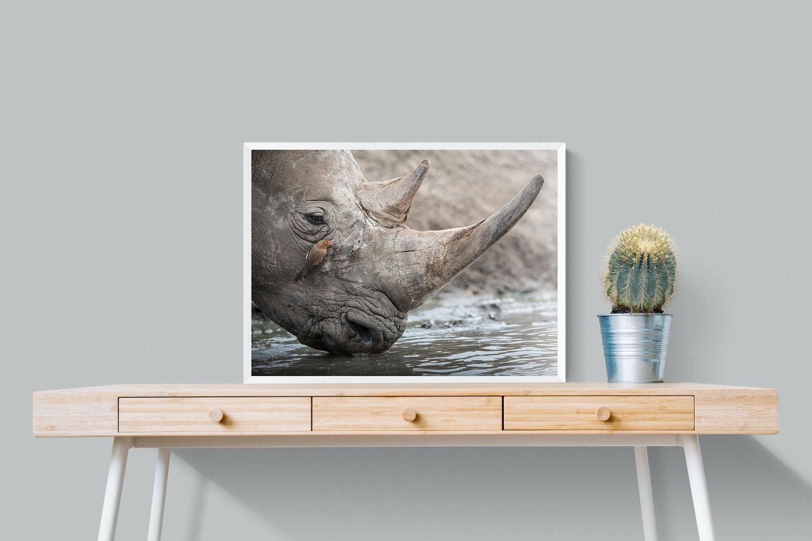 Rhino & Friend-Wall_Art-80 x 60cm-Mounted Canvas-White-Pixalot