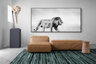 Pixalot Roaming Lion