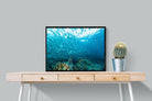 Seabed-Wall_Art-80 x 60cm-Mounted Canvas-Black-Pixalot