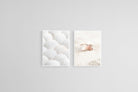 Seashell Set-Wall_Art-45 x 60cm (x2)-Mounted Canvas-White-Pixalot