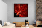 Pixalot Siamese Fighting Fish