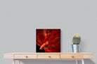 Pixalot Siamese Fighting Fish
