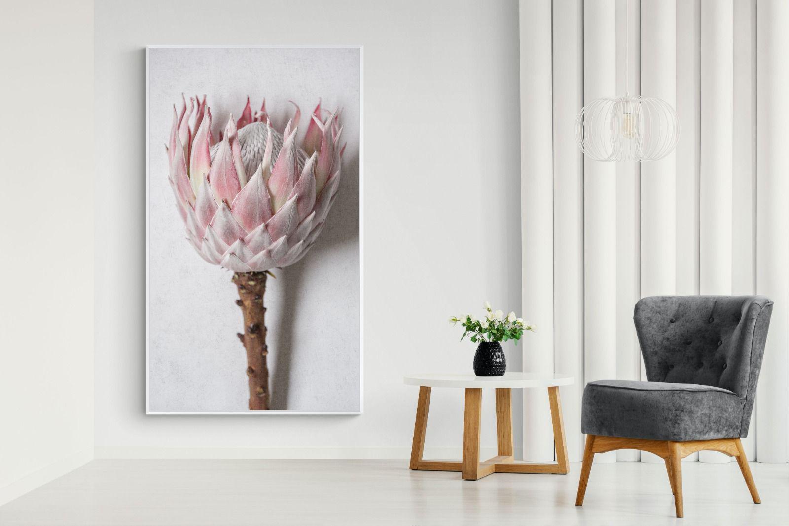 Pixalot Single Pink King Protea