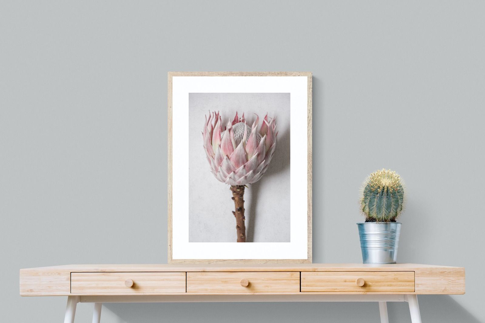 Pixalot Single Pink King Protea