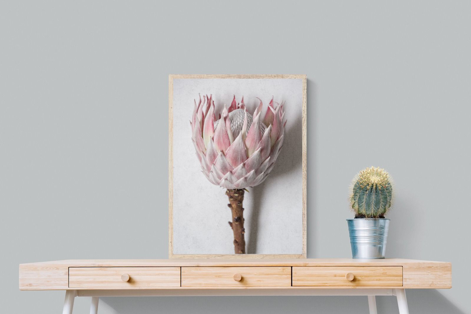 Pixalot Single Pink King Protea