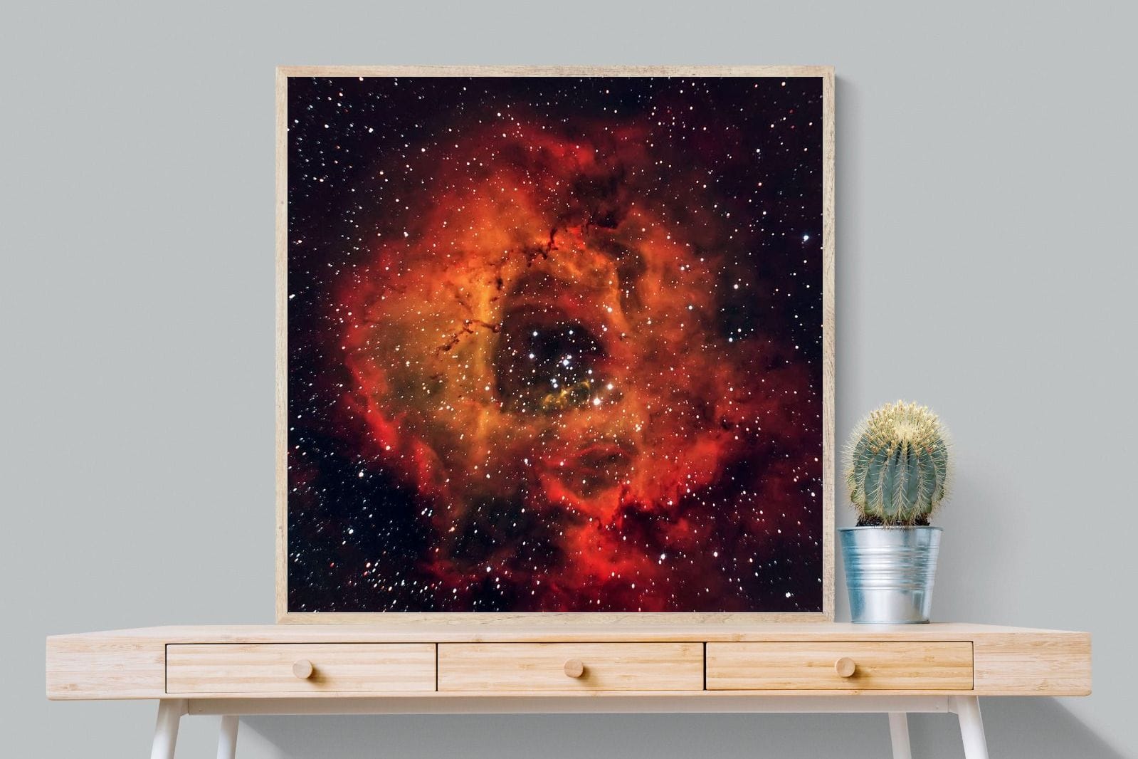 Sky Rose-Wall_Art-100 x 100cm-Mounted Canvas-Wood-Pixalot