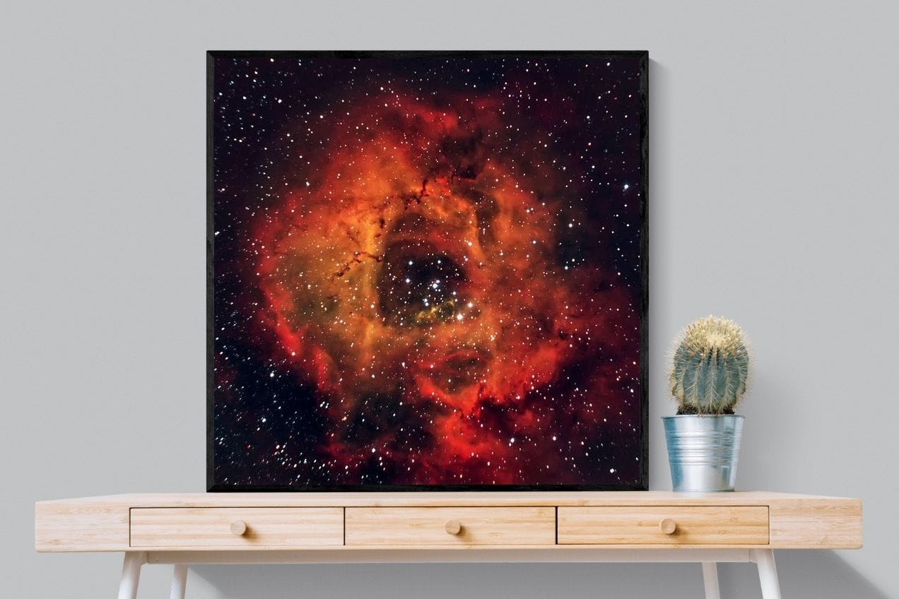 Sky Rose-Wall_Art-100 x 100cm-Mounted Canvas-Black-Pixalot