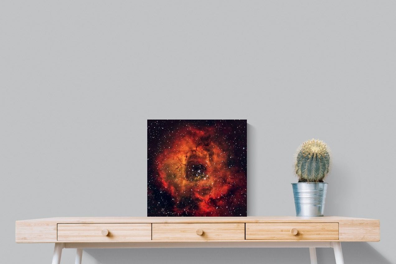 Sky Rose-Wall_Art-50 x 50cm-Mounted Canvas-No Frame-Pixalot