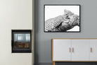 Sleeping Leopard-Wall_Art-100 x 75cm-Mounted Canvas-Black-Pixalot