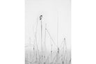 Solitude in Monochrome-Wall_Art-Pixalot