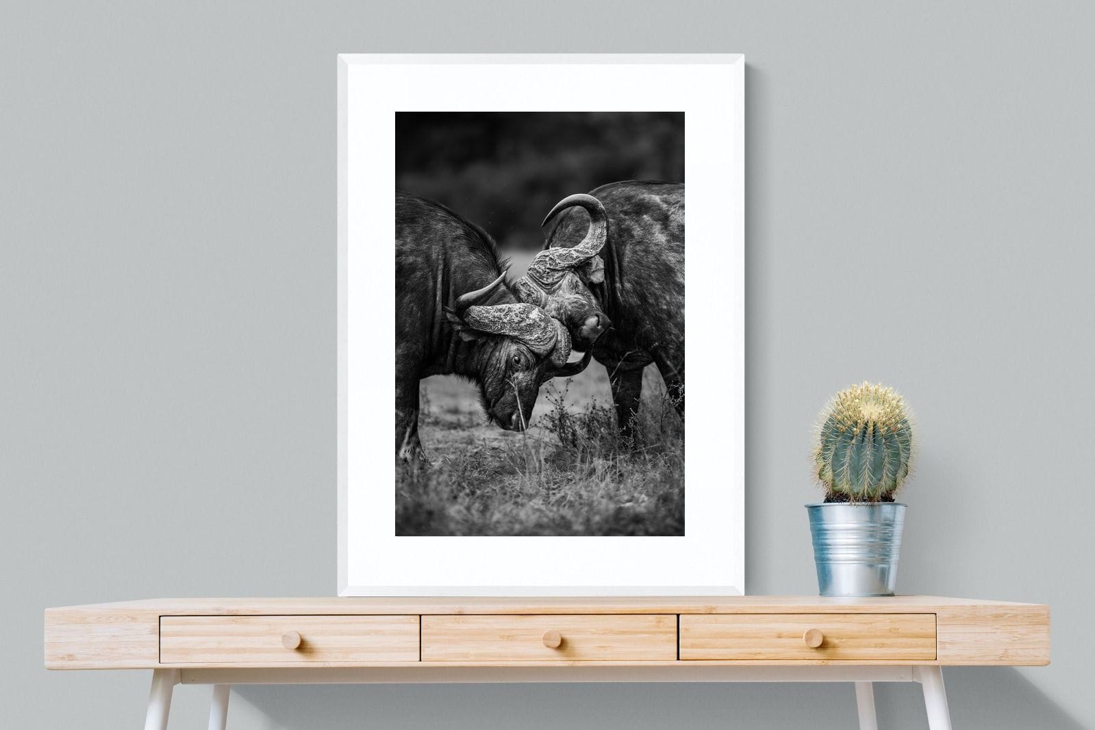 Sparring-Wall_Art-75 x 100cm-Framed Print-White-Pixalot