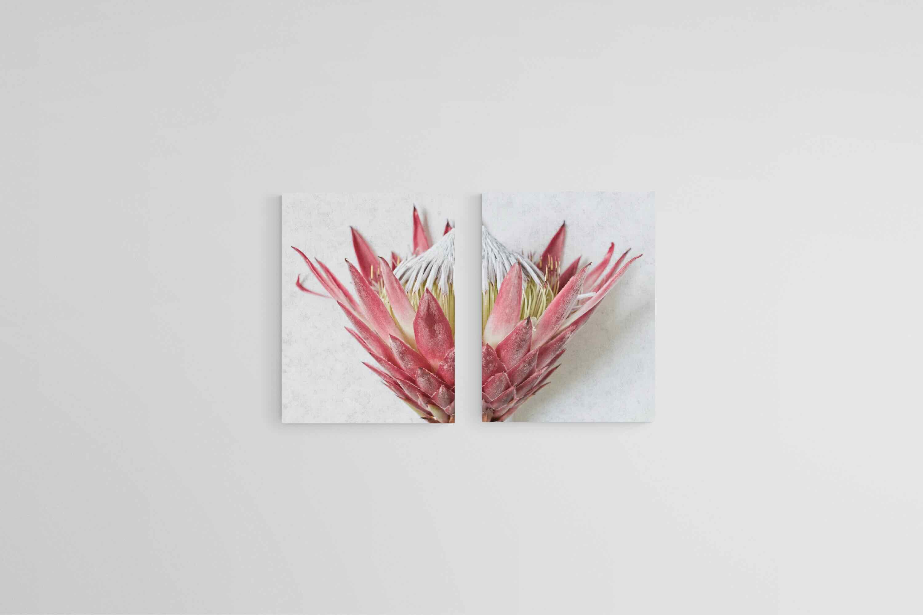 Split Red King Protea Set-Wall_Art-45 x 60cm (x2)-Mounted Canvas-No Frame-Pixalot