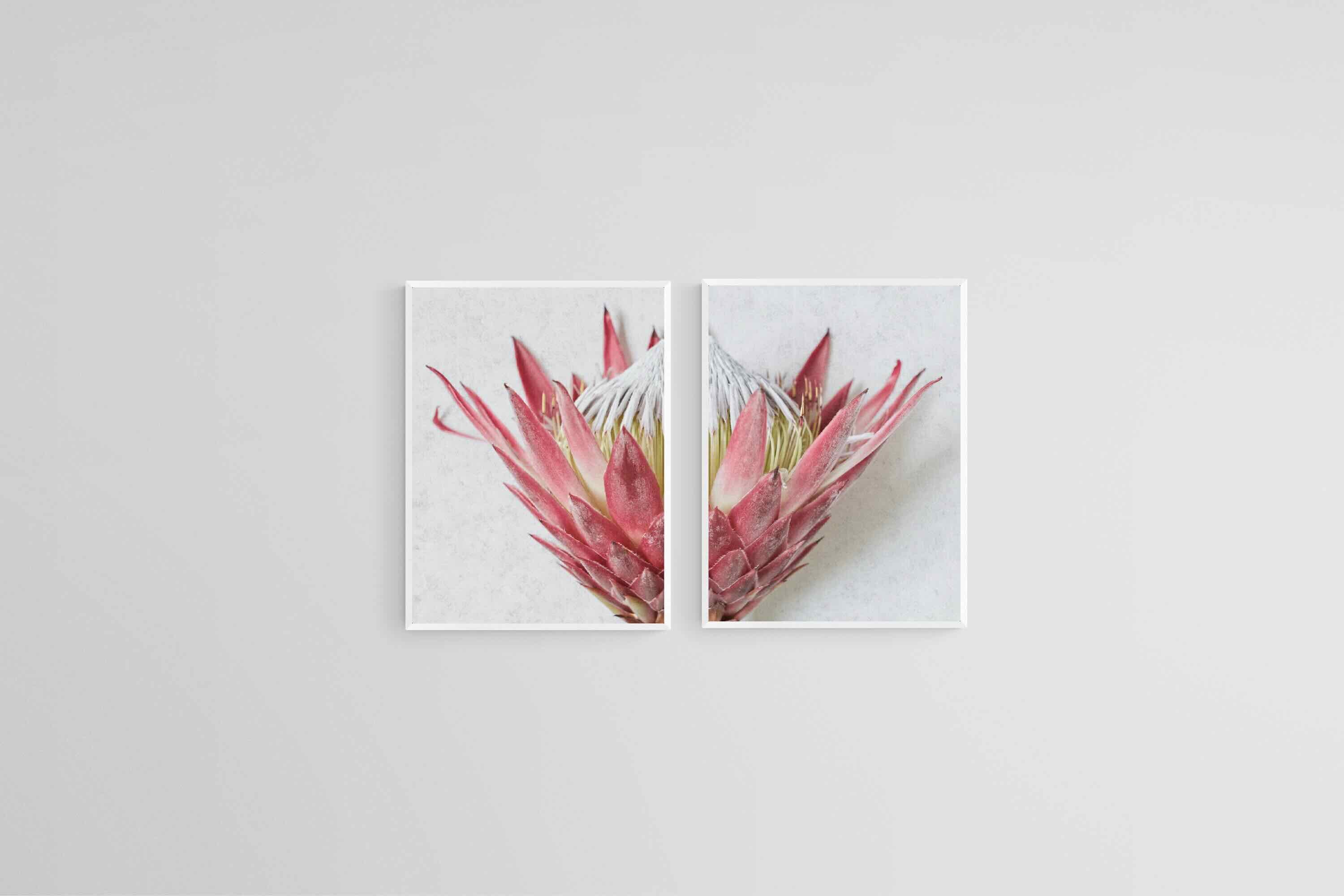 Split Red King Protea Set-Wall_Art-45 x 60cm (x2)-Mounted Canvas-White-Pixalot