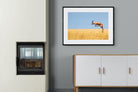 Springy-Wall_Art-100 x 75cm-Framed Print-Black-Pixalot