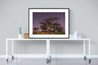 Starry Sky Baobab-Wall_Art-120 x 90cm-Framed Print-Black-Pixalot