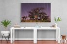 Starry Sky Baobab-Wall_Art-150 x 100cm-Mounted Canvas-White-Pixalot