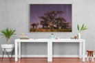 Starry Sky Baobab-Wall_Art-150 x 100cm-Mounted Canvas-Wood-Pixalot