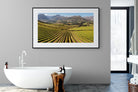 Pixalot Stellenbosch