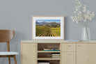 Pixalot Stellenbosch