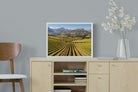 Pixalot Stellenbosch