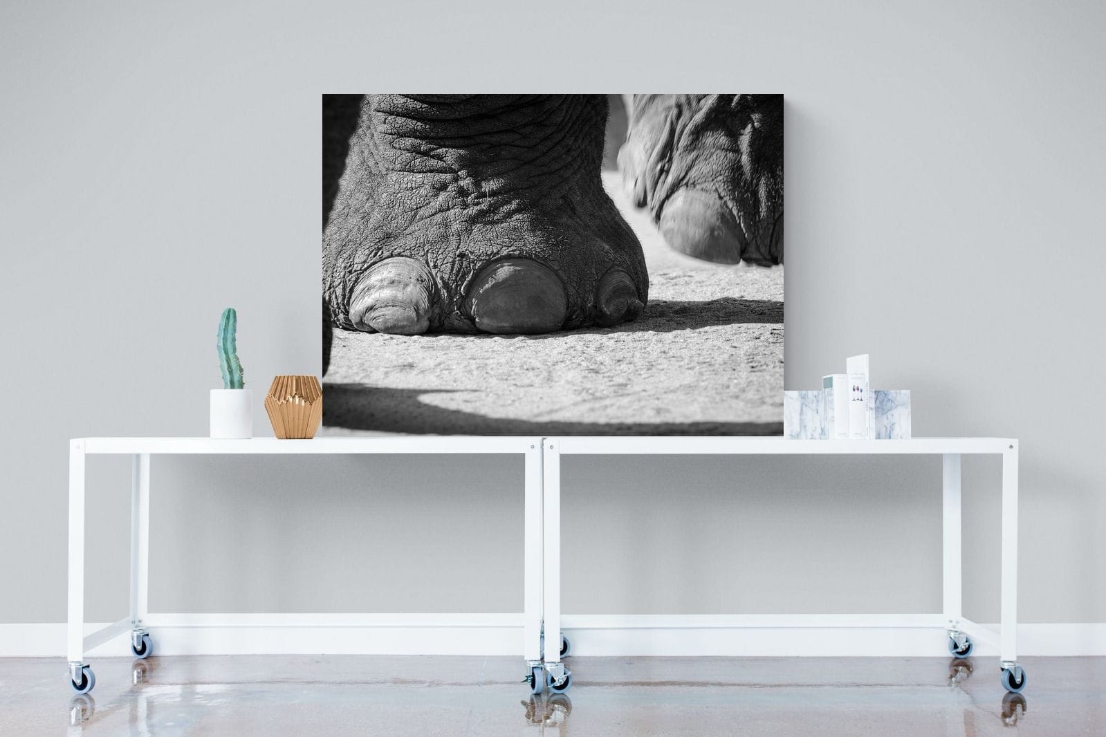 Stomp-Wall_Art-120 x 90cm-Mounted Canvas-No Frame-Pixalot