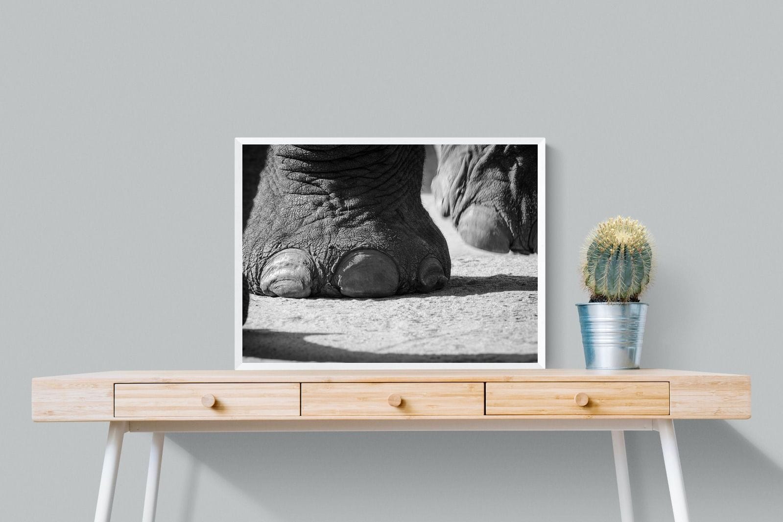 Stomp-Wall_Art-80 x 60cm-Mounted Canvas-White-Pixalot