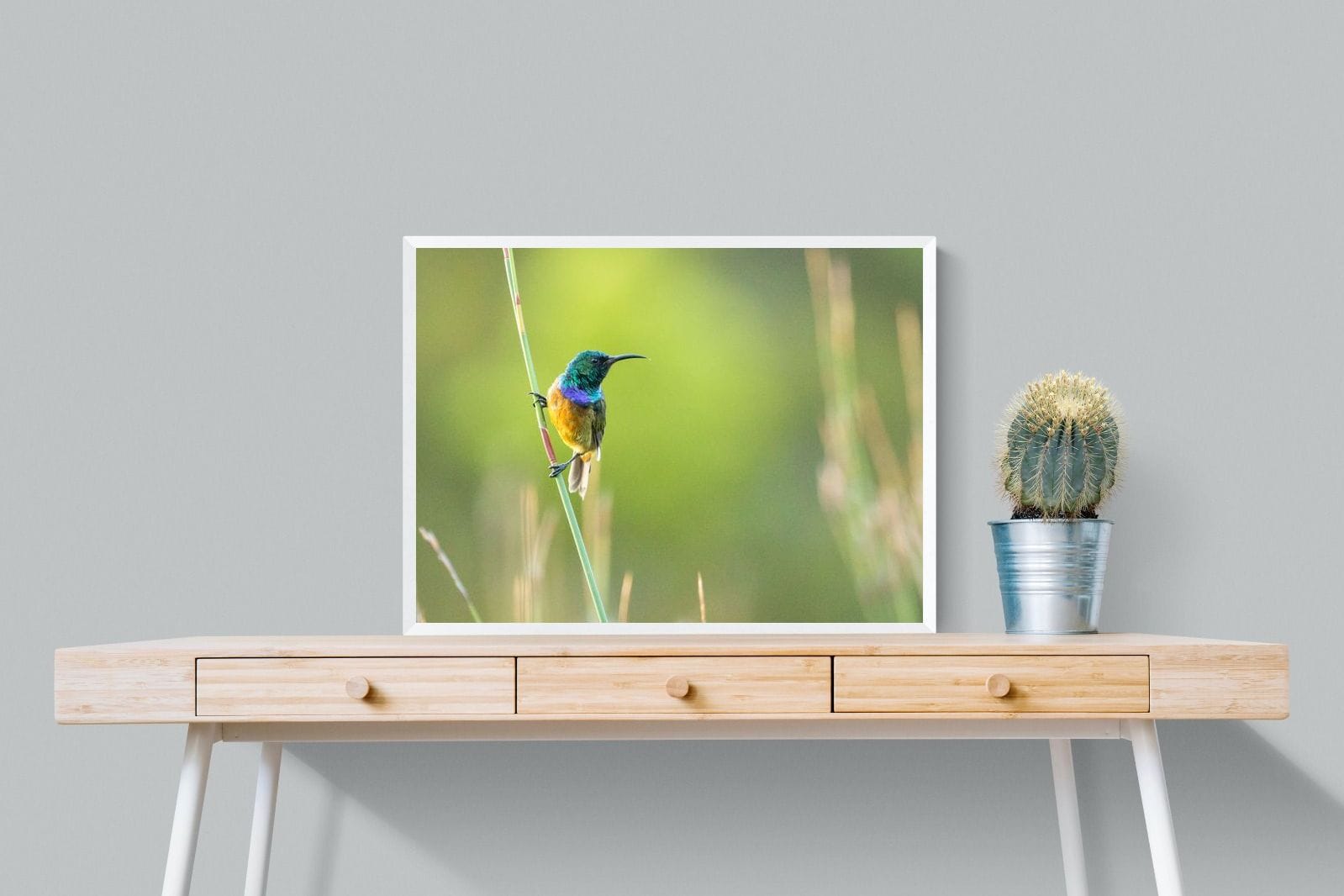 Sunbird-Wall_Art-80 x 60cm-Mounted Canvas-White-Pixalot